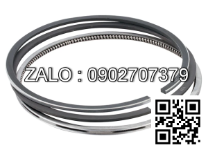 Bạc xéc măng động cơ VOLVO D 100 B , 6 CYL , CM3