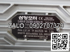 Motor 3 pha 380V SKG-0.2-4 ( cốt âm ) ( động cơ giảm tốc )