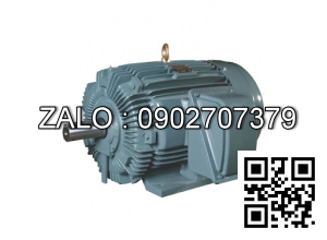 Motor điện 4 dây 30kW - 40HP
