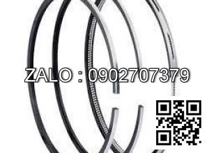 Bạc xéc măng động cơ VOLVO TAD871 VE , 6 CYL , CM3