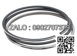 Bạc xéc măng động cơ WARTSILA 8V25 , 8 CYL , CM3