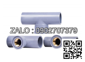 Tê nhựa giảm T RN/RT 27/34 Đồng Nai