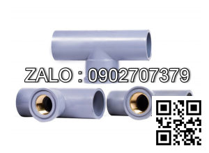 Tê nhựa giảm T RN/RT 60/49 Đồng Nai