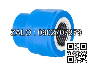 Nối nhựa giảm MS RN/RT 49/42 Đồng Nai