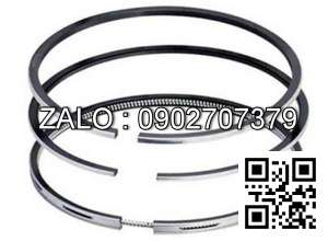 Bạc xéc măng động cơ Westerbeke 8.BTD , 3 CYL , CM3