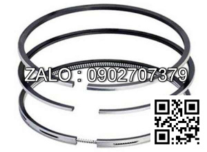 Bạc xéc măng động cơ Westerbeke 20.0 BEDA , 4 CYL , CM3