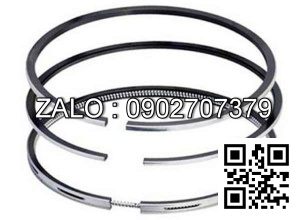 Bạc xéc măng động cơ Westerbeke 25.0 WTA-60 HZ , 4 CYL , CM3