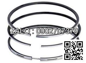 Bạc xéc măng động cơ Westerbeke 30.0 BEDA-50HZ , 4 CYL , CM3