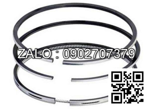 Bạc xéc măng động cơ Westerbeke 35.0 BED-50HZ , 4 CYL , CM3