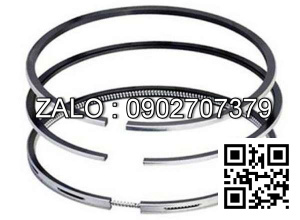 Bạc xéc măng động cơ Westerbeke 12B , 2 CYL , CM3