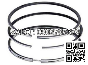 Bạc xéc măng động cơ Westerbeke M20 , 2 CYL , CM3