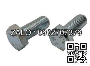 Bulong mạ niken M10x22