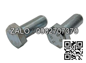 Bulong mạ niken M12x35