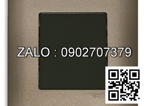 Công tắc 2 cực Clipsal / Schneider E8431D32_G19