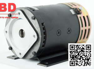 Steering Motor XQD-0.55-3