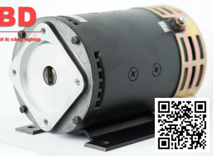 Steering Motor XQD-0.75-2