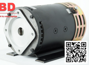 Steering Motor XQD-0.85-1