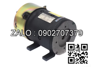 Steering Motor XQD-0.8-5