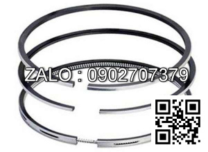 Bạc xéc măng động cơ Westerbeke 4.154 , 4 CYL , CM3