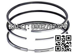 Bạc xéc măng động cơ Westerbeke M-50A , 4 CYL , CM3