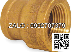 Nối thau giảm MS 21/34