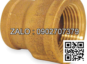 Nối thau giảm MS 168/49