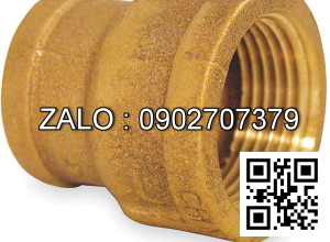 Nối thau giảm MS 200/90