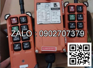 Bộ điều khiển cẩu trục từ xa F21-E1 RX Telecarance C2766B67