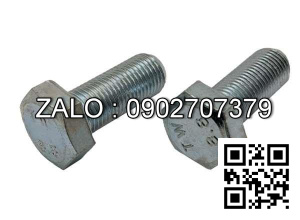 Bulong mạ niken M64x12