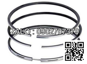 Bạc xéc măng động cơ Westerbeke 5424 , 3 CYL , CM3