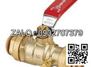 Van khóa thau răng trong RT tay vặn màu xanh 21