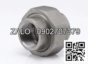 Rắc co Inox ren trong 200