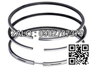 Bạc xéc măng động cơ Westerbeke W80 , 4 CYL , CM3