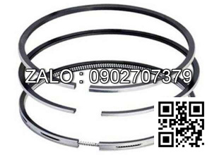 Bạc xéc măng động cơ Westerbeke W100 , 6 CYL , CM3