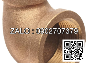 Co nước thau giảm RT 21/27