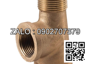 Tê nước thau giảm T RT/RN 21/27