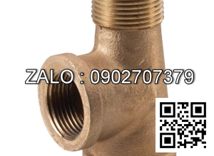 Tê nước thau giảm T RT/RN 34/27