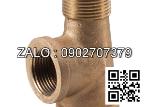 Tê nước thau giảm T RT/RN 42/27