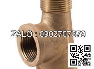 Tê nước thau giảm T RT/RN 49/34