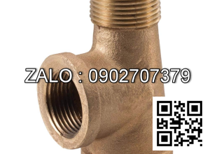 Tê nước thau giảm T RT/RN 60/42