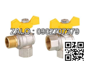 Van khóa nước thau răng trong RT tay gạt Inox màu trắng 21