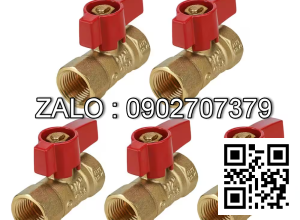 Van khóa nước thau tay gạt Inox màu trắng 42