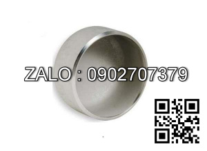 Bít Inox tròn BT 60