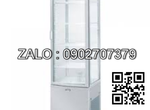 Tủ lạnh trưng bày đồ uống BJY-DCPS220