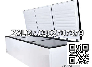 Tủ đông nằm ngang BD-62FA