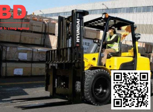 Xe nâng dầu diesel Forklift FD30/FD40