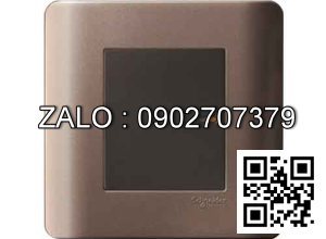 Bộ công tắc đơn 1 chiều Clipsal / Schneider E8431_1_SZ_G19