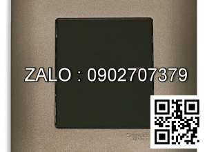 Công tắc 2 cực Clipsal / Schneider E8431D20_SZ_G19