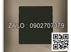 Công tắc 2 cực Clipsal / Schneider E8431D32_SZ_G19