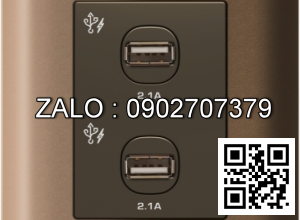 2 cổng sạc USB 2.1A Clipsal / Schneider E8432USB_SZ_G19